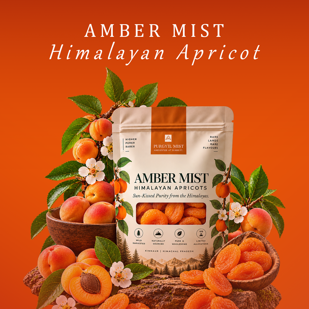 AMBER MIST Apricots