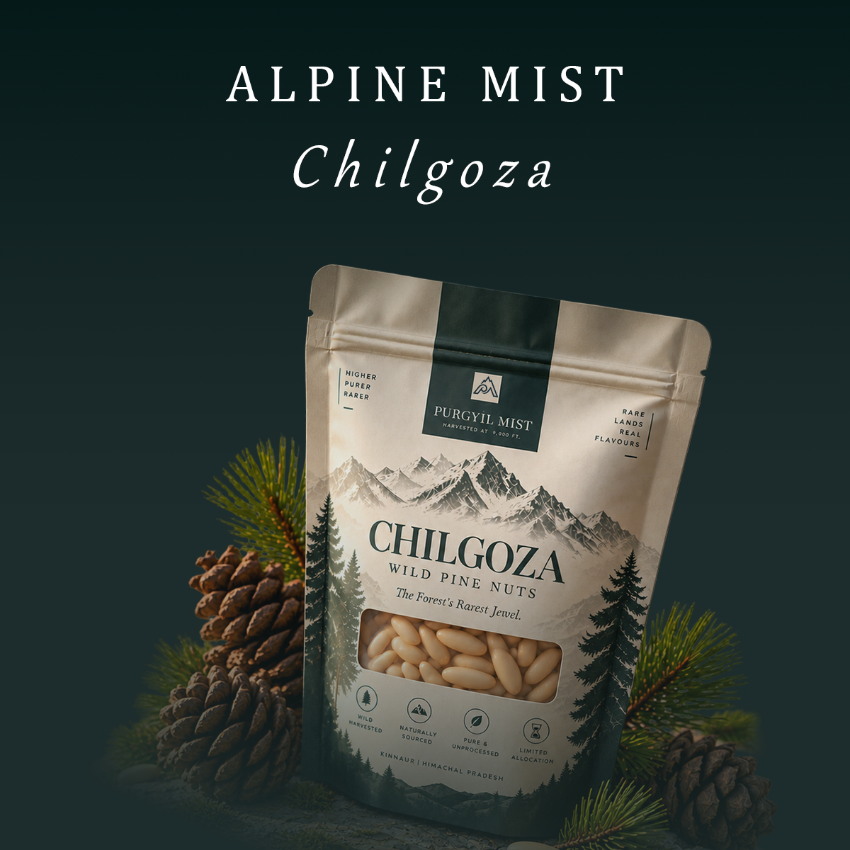 ALPINE MIST Chilgoza