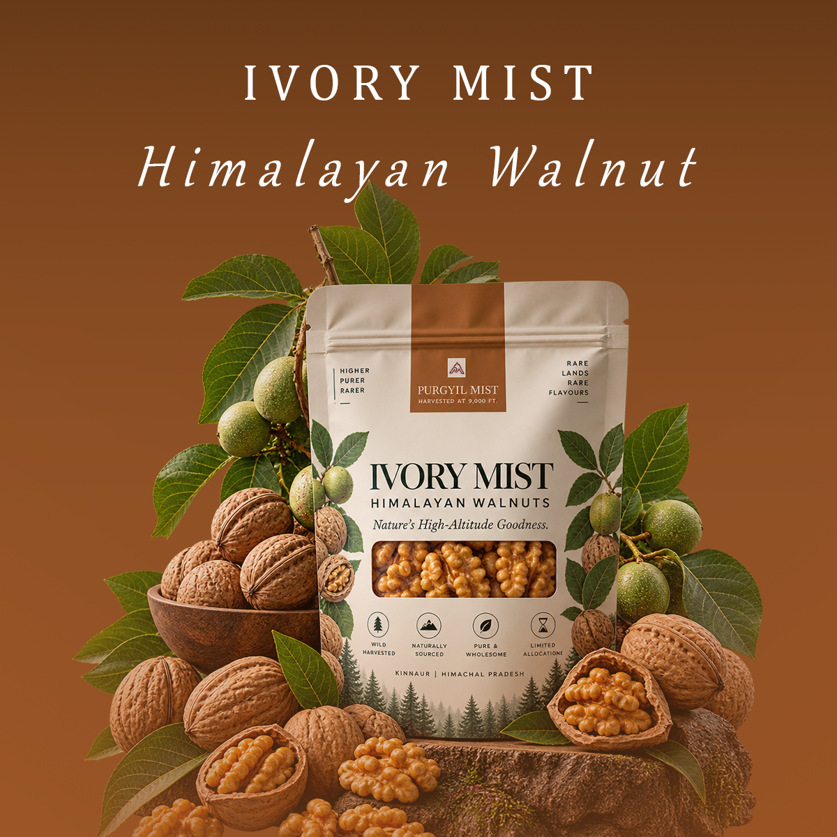 IVORY MIST Walnuts